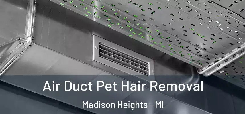 Air Duct Pet Hair Removal Madison Heights - MI