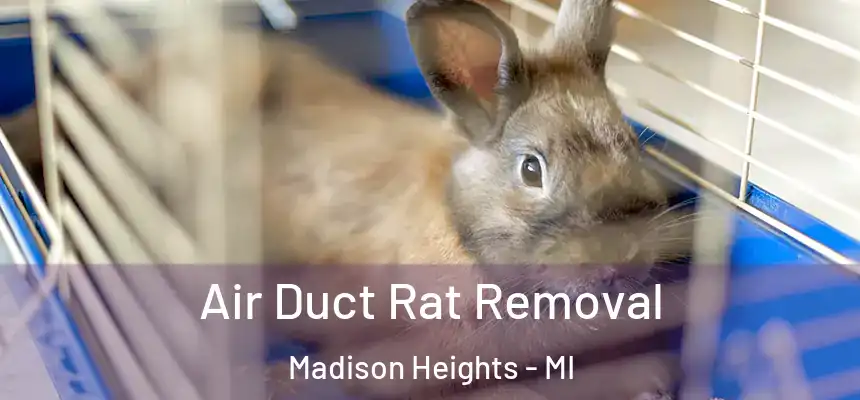  Air Duct Rat Removal Madison Heights - MI