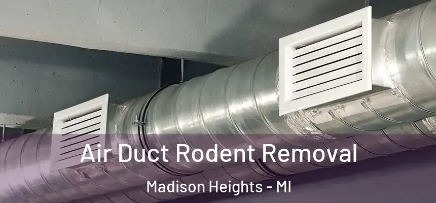  Air Duct Rodent Removal Madison Heights - MI