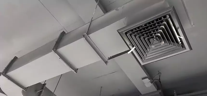 Restorative Allergy Relief Vent Cleaning – Coil, Blower & Housing Detail in Madison Heights