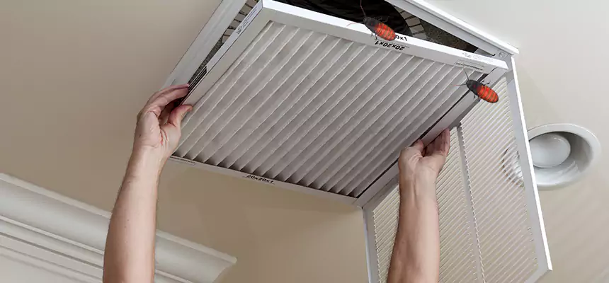 Our Insect Removal from Air Ducts Services in Madison Heights, MI