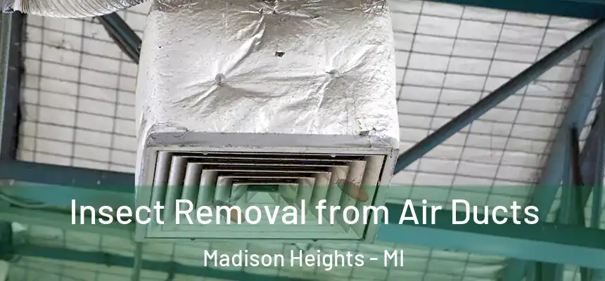  Insect Removal from Air Ducts Madison Heights - MI