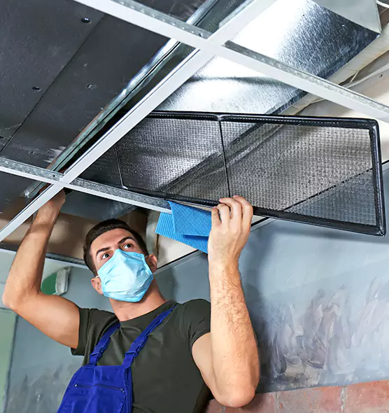 About Air Duct Bacteria Removal in Madison Heights