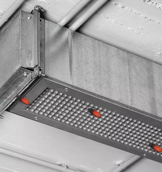 About Air Duct Cockroach Removal in Madison Heights, MI