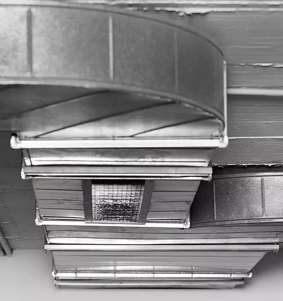 Professional Air Duct Pest Removal in Madison Heights, MI