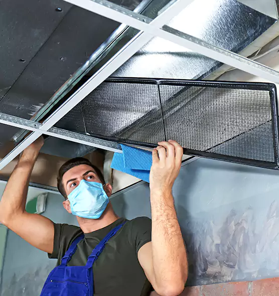 Professional Air Duct Pollen Cleaning in Madison Heights, MI