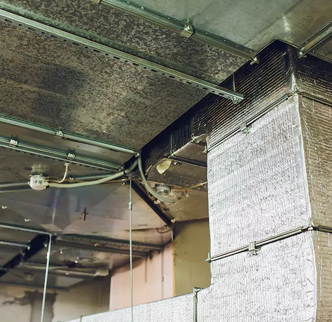 Why Homeowners & Businesses Trust Us in Madison Heights, MI?