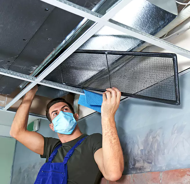  Why Homeowners Businesses Trust Us  in Madison Heights, MI?